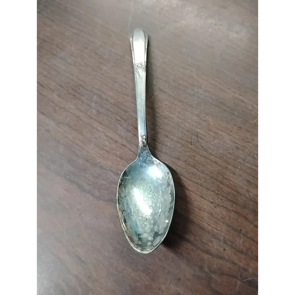 1 Spoon Memory Hiawatha 1937 IS Wm Rogers Silverplate